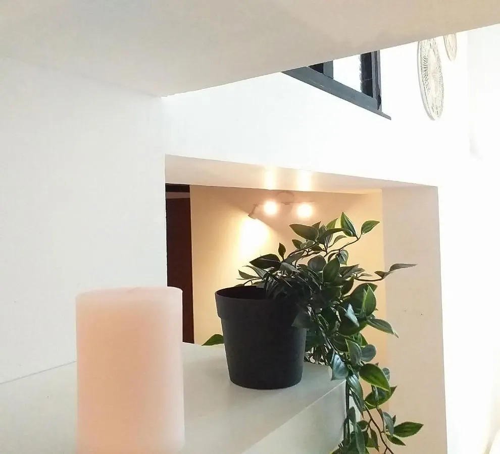 شقة Le Paisible - Gare - Duplex - Garage Prive - Netflix غرونوبل 0*,